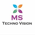 MS TECHNO VISION